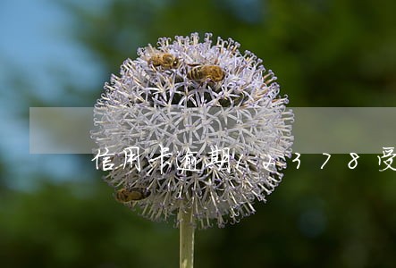 信用卡逾期12378受理吗 信用卡逾期12378受理吗