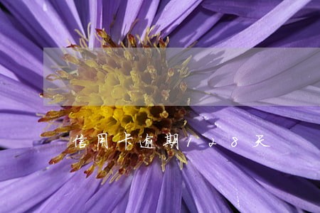 信用卡逾期128天