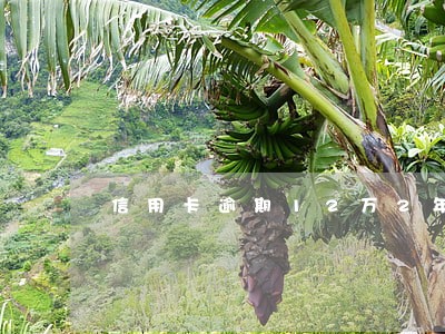 信用卡逾期12万2年收取费用多少钱 信用卡逾期12万2年收取费用多少钱