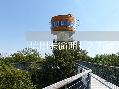 信用卡逾期12万能判几年 信用卡逾期12万能判几年