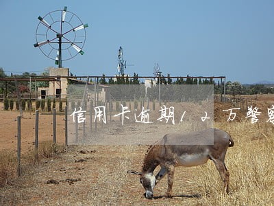信用卡逾期12万警察会上门吗