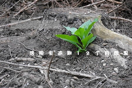 信用卡逾期12个月后果