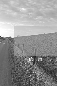 信用卡逾期12个月如何协商 信用卡逾期12个月如何协商