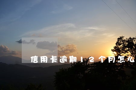 信用卡逾期12个月怎么办