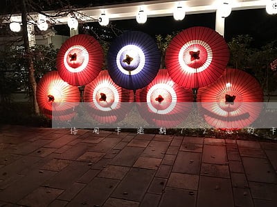 信用卡逾期12元的卡费