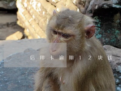 信用卡逾期12块钱 信用卡逾期12块钱