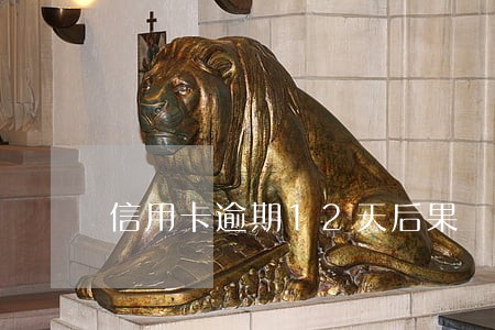 信用卡逾期12天后果 信用卡逾期12天后果