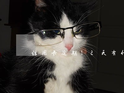 信用卡逾期12天有什影响