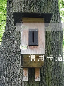 信用卡逾期12天还款严重吗 信用卡逾期12天还款严重吗