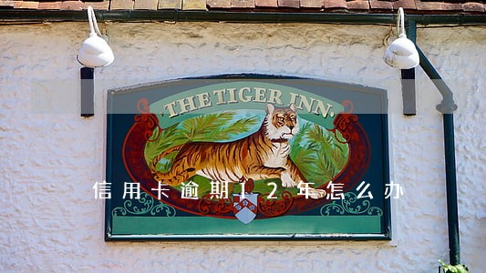 信用卡逾期12年怎么办 信用卡逾期12年怎么办