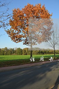 信用卡逾期12次后注销证明 信用卡逾期12次后注销证明