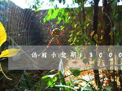 信用卡逾期13000元3个月了 信用卡逾期13000元3个月了