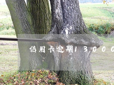 信用卡逾期13000要起诉 信用卡逾期13000要起诉