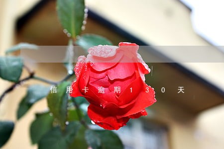 信用卡逾期130天 信用卡逾期130天