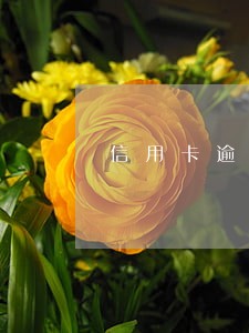 信用卡逾期13万协商还款 信用卡逾期13万协商还款