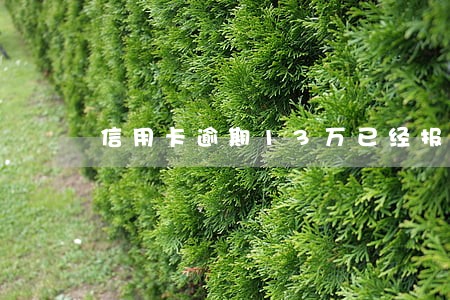 信用卡逾期13万已经报案了 信用卡逾期13万已经报案了