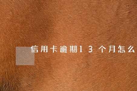 信用卡逾期13个月怎么办 信用卡逾期13个月怎么办
