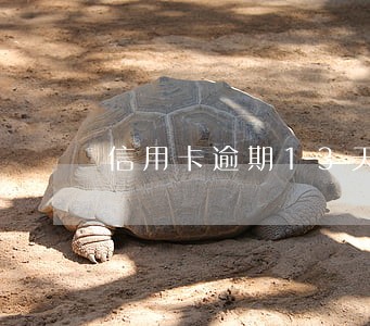 信用卡逾期13天会封卡吗 信用卡逾期13天会封卡吗