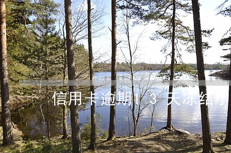 信用卡逾期13天冻结了 信用卡逾期13天冻结了