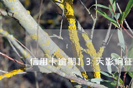 信用卡逾期13天影响征信 信用卡逾期13天影响征信