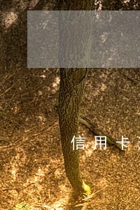 信用卡逾期13天征信怎么办