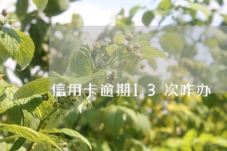 信用卡逾期13次咋办 信用卡逾期13次咋办
