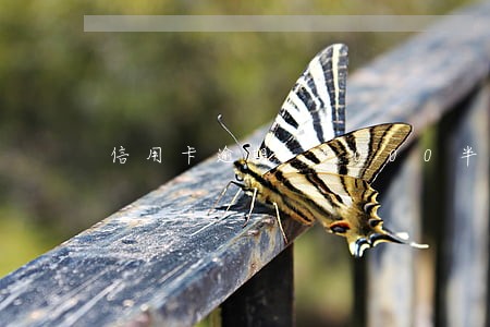 信用卡逾期14000半年多没还