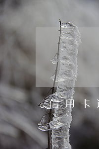 信用卡逾期14万怎么坦白 信用卡逾期14万怎么坦白
