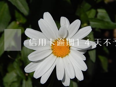 信用卡逾期14天不予承兑 信用卡逾期14天不予承兑