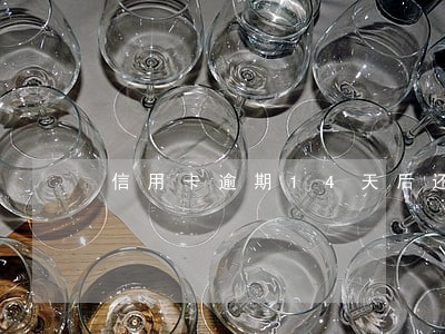 信用卡逾期14天后还款 信用卡逾期14天后还款
