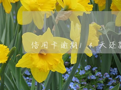 信用卡逾期14天还款还能用么 信用卡逾期14天还款还能用么