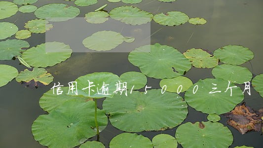 信用卡逾期15000三个月 信用卡逾期15000三个月