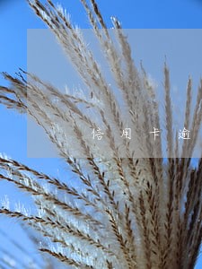 信用卡逾期15000被起诉 信用卡逾期15000被起诉