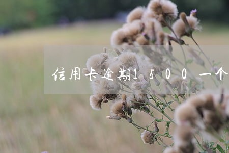 信用卡逾期1500一个多少