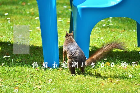 信用卡逾期1500够不够立案 信用卡逾期1500够不够立案