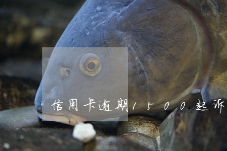 信用卡逾期1500起诉 信用卡逾期1500起诉