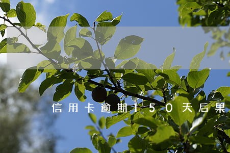 信用卡逾期150天后果 信用卡逾期150天后果