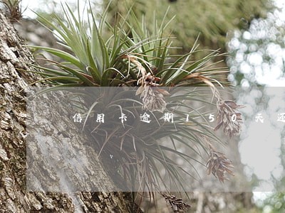 信用卡逾期150天还了