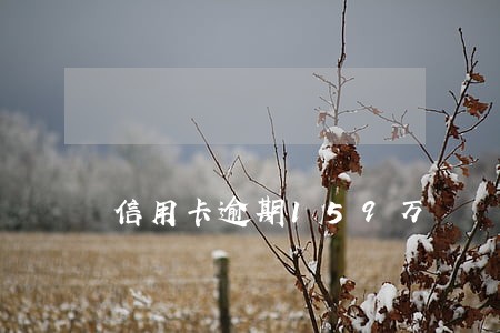 信用卡逾期159万 信用卡逾期159万