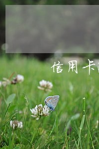 信用卡逾期15万还不上怎么解决 信用卡逾期15万还不上怎么解决