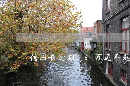 信用卡逾期15万还不起 信用卡逾期15万还不起