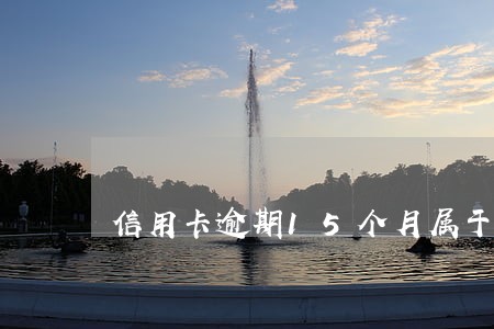 信用卡逾期15个月属于
