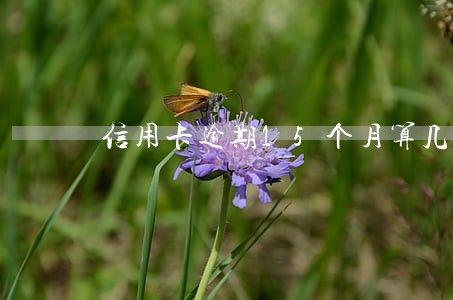 信用卡逾期15个月算几次 信用卡逾期15个月算几次