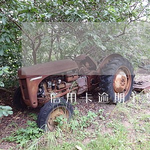 信用卡逾期15元怎么办 信用卡逾期15元怎么办