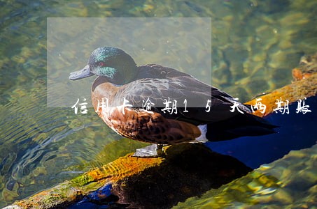 信用卡逾期15天两期账单合并 信用卡逾期15天两期账单合并