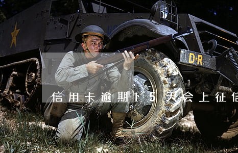 信用卡逾期15天会上征信 信用卡逾期15天会上征信