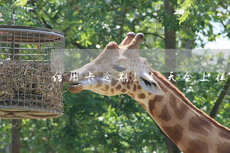 信用卡逾期15天会上征信怎么办