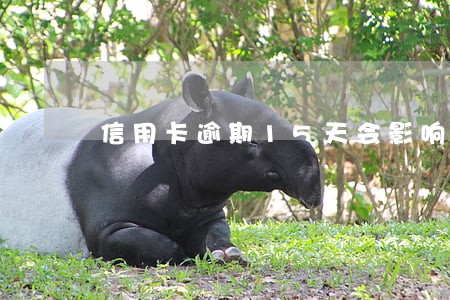 信用卡逾期15天会影响贷款 信用卡逾期15天会影响贷款