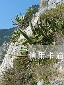 信用卡逾期15天后还了最低 信用卡逾期15天后还了最低