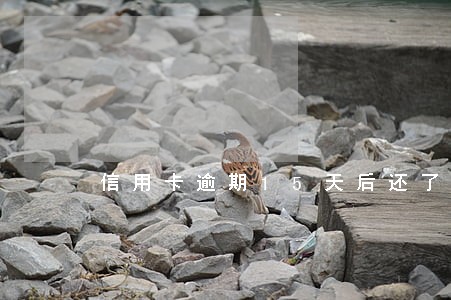信用卡逾期15天后还了还能正常用吗 信用卡逾期15天后还了还能正常用吗